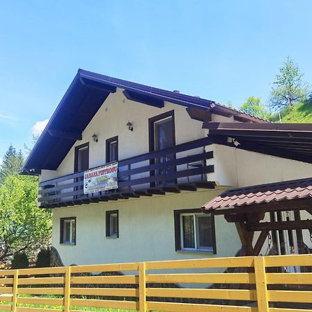 Hotel Casa Pietrosu Rodnei Borşa Exterior foto