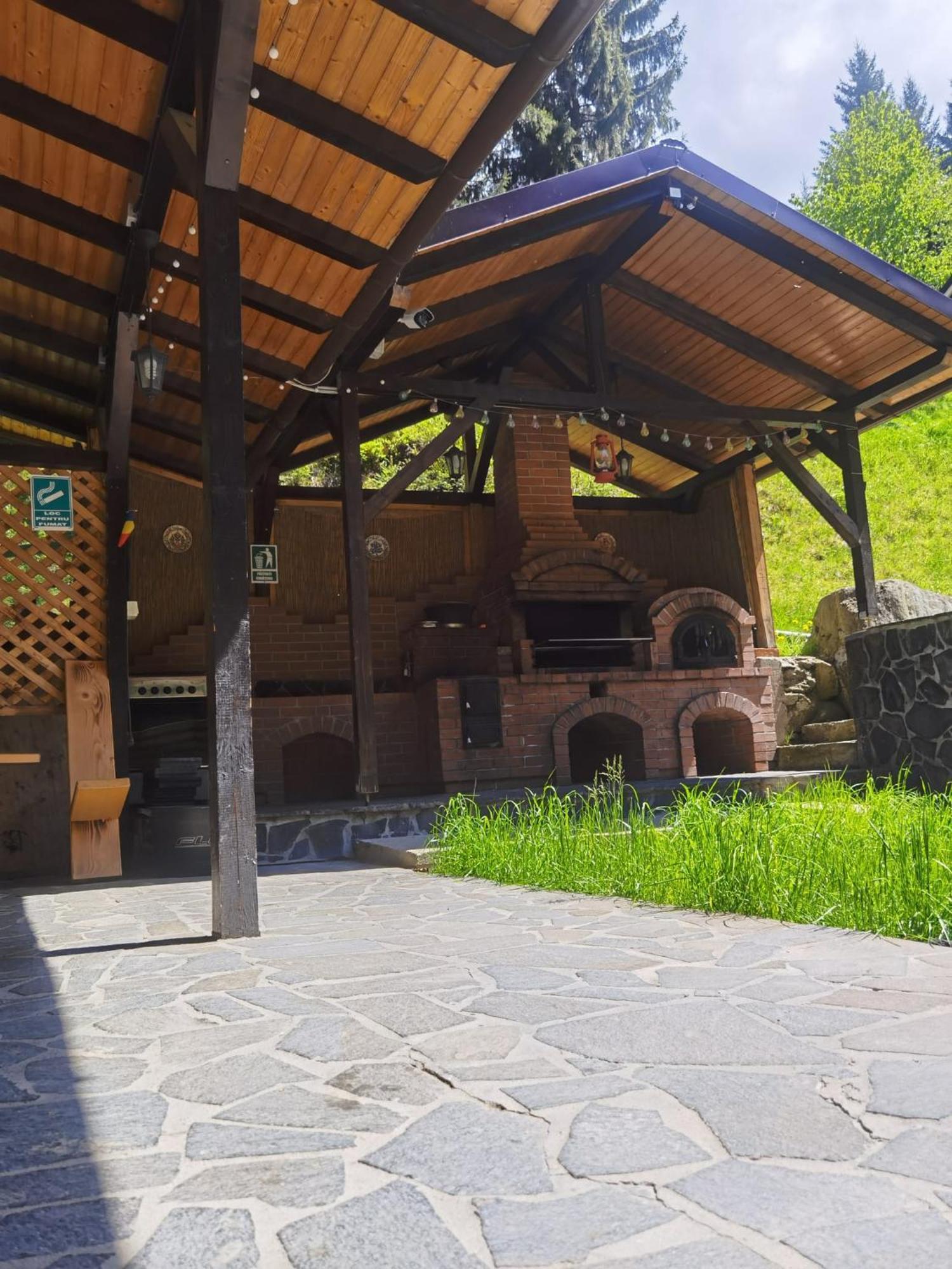 Hotel Casa Pietrosu Rodnei Borşa Exterior foto